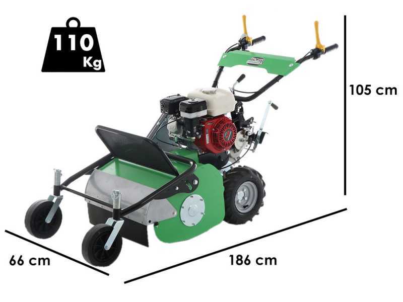 Professioneller Schlegelmulcher Lampacrescia MGM TTR560 - Honda-Motor GX160