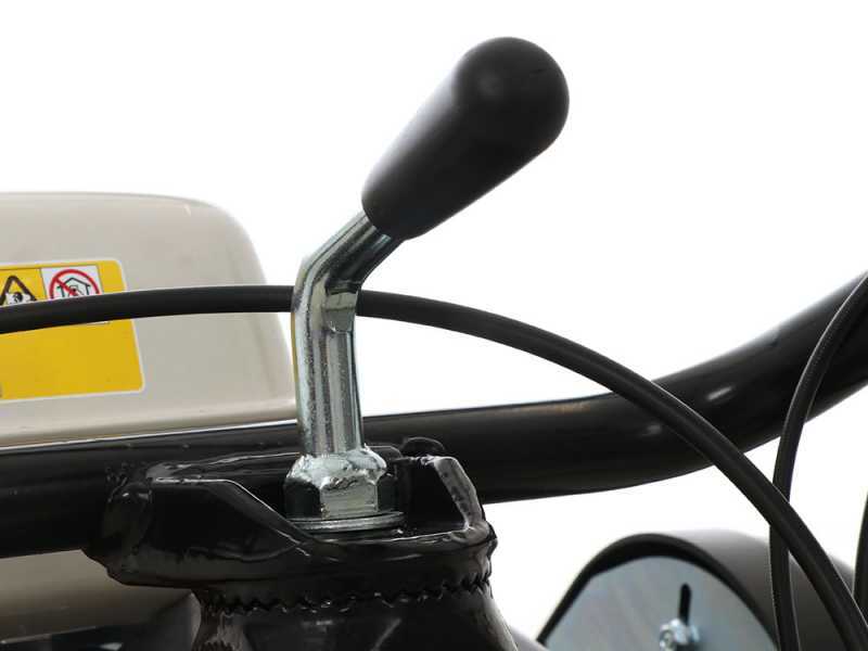 Professioneller Schlegelmulcher Lampacrescia MGM TTR560 - Honda-Motor GX160
