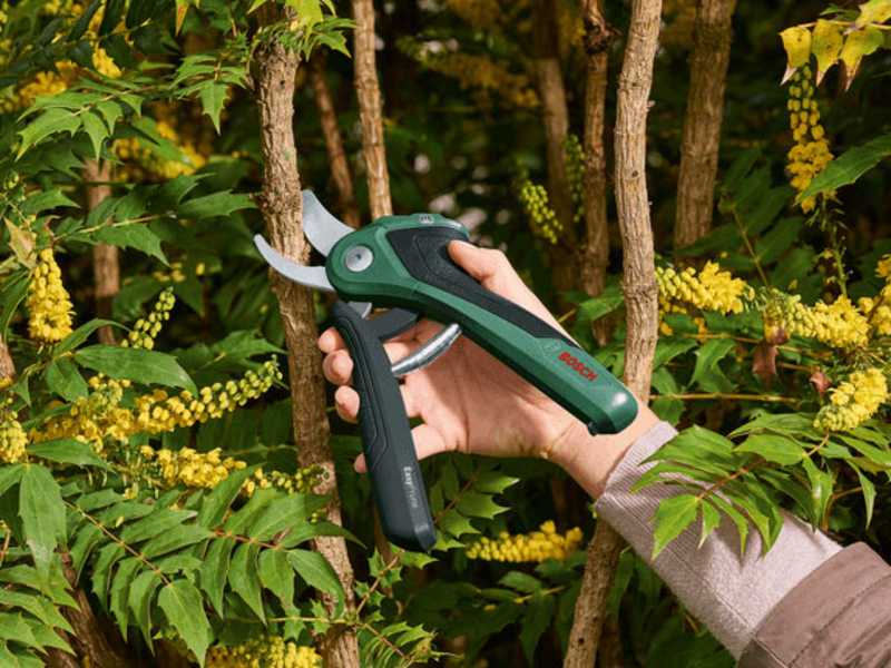 Bosch EasyPrune AssistCut - Akku-Gartenschere - 3.6V 1.6Ah