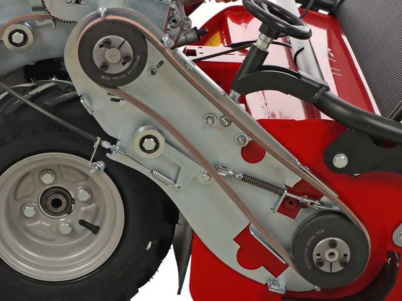 Ginko TT790 - Profi-Schlegelmulcher - Honda-Motor GX270