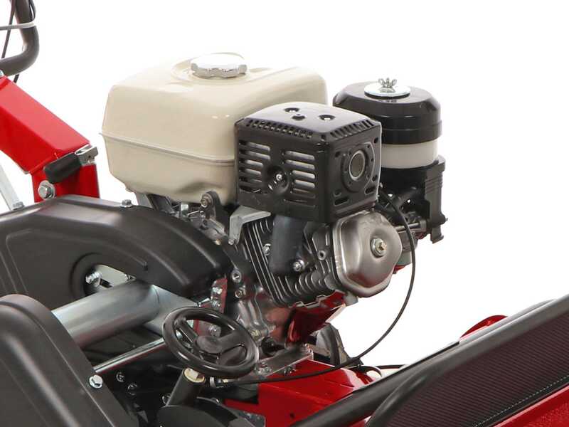 Ginko TT790 - Profi-Schlegelmulcher - Honda-Motor GX270
