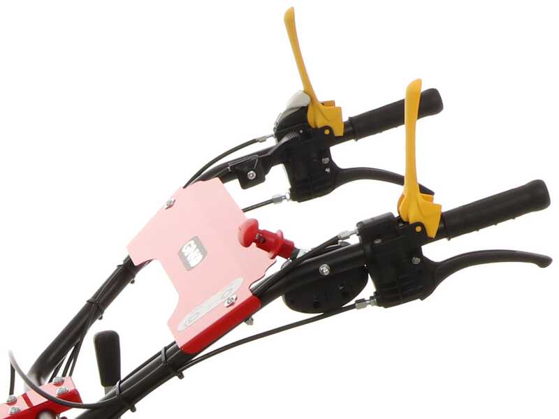 Ginko TT790 - Profi-Schlegelmulcher - Honda-Motor GX270