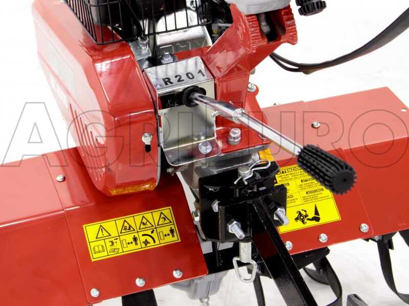 Benassi BL 6000 &ndash; Benzin-Motorhacke mit 5,5 PS &ndash; Honda GX 160 Motor
