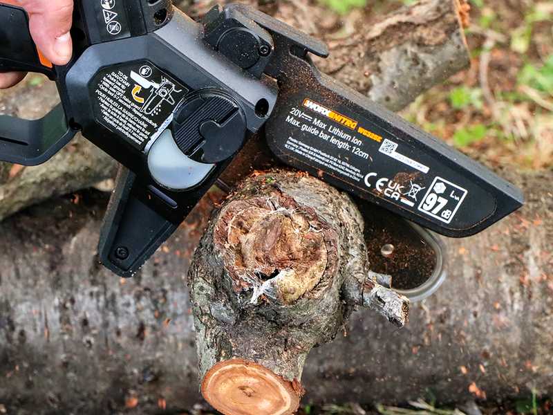 Worx Nitro WG325E - Akku-Astkettens&auml;ge 20V/2Ah