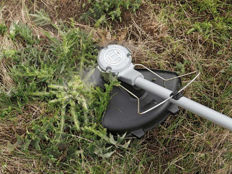 Bosch Advanced BrushCut 36V 23-750 - Akku-Motorsense - 2Ah