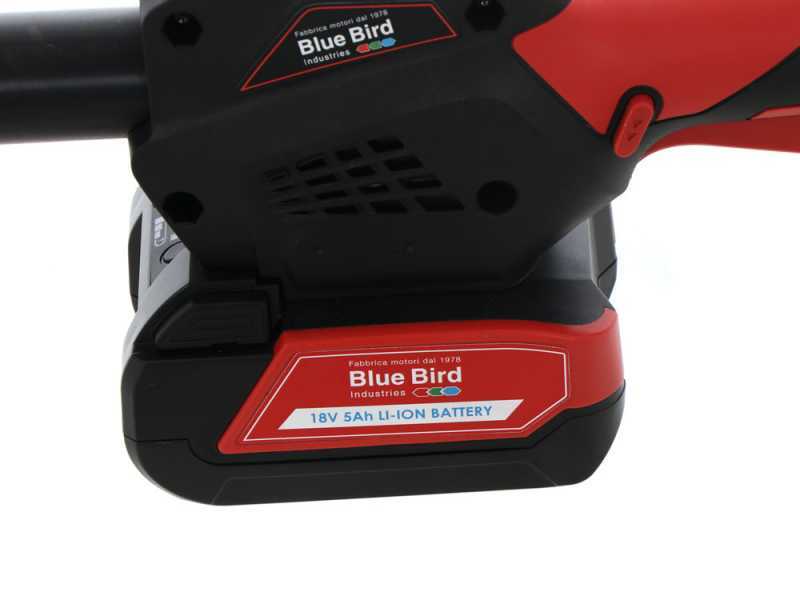 Blue Bird PCS 22-10 - Akku-Hochentaster auf Teleskopschaft -  2x 21V 5Ah