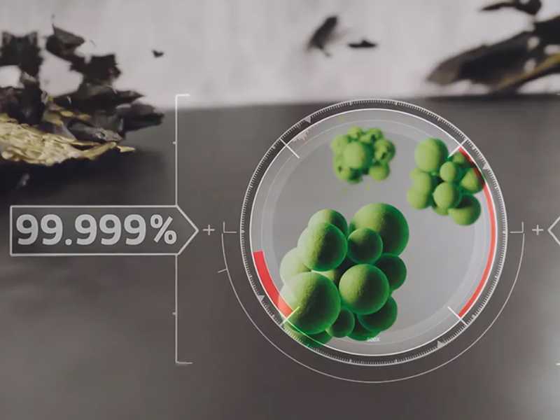 K&auml;rcher SC 3 Upright  - Dampfreiniger - Porentiefe Reinigung  - 1600 W