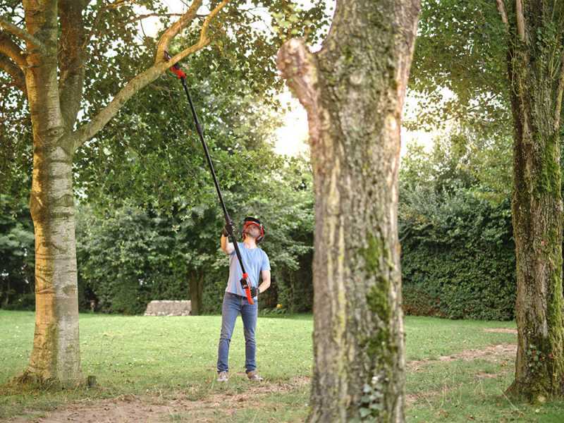 Skil 0650 CA - Akku-Hochentaster mit Teleskopschaft - 20V/2.5ah