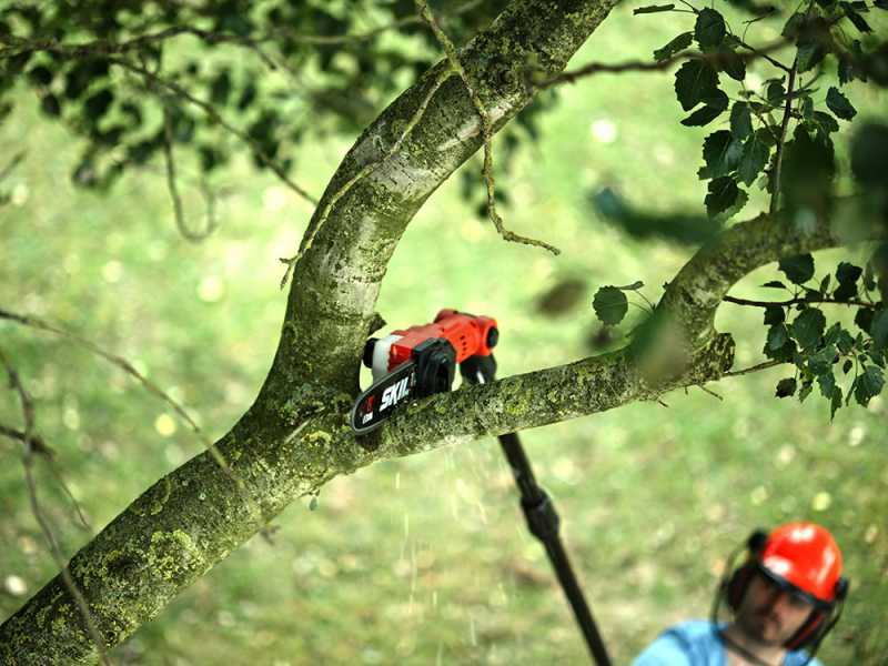 Skil 0650 CA - Akku-Hochentaster mit Teleskopschaft - 20V/2.5ah