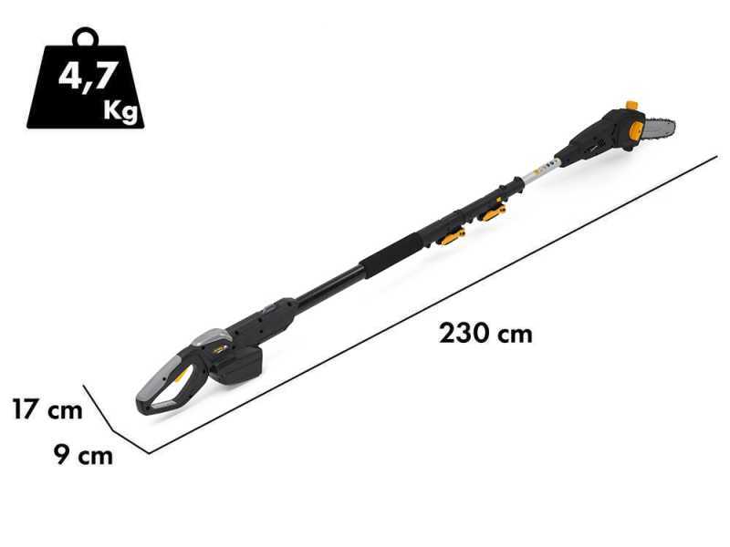 Alpina AM 20 Li Kit - Astkettens&auml;ge/Heckenschere auf Teleskopschaft  - 20V/4Ah