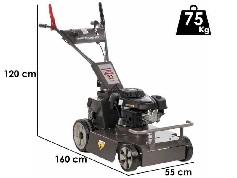 Weibang Conqueror - Benzin-Hochgrasm&auml;her - Loncin Motor 1P70