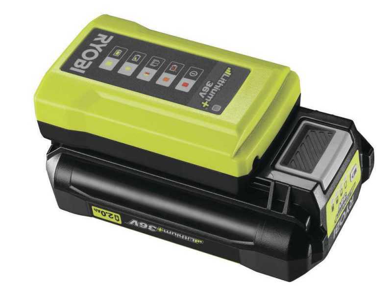 Ryobi RY36PP25A-0 - Akku-Hochentaster mit Verl&auml;ngerung - 25 cm Stang - MAX POWER 36V 2Ah