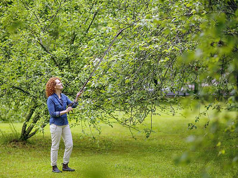 Fiskars Light UP69 - Gartenschere mit schwenkbarem Aluminiumstiel  -- &Oslash; 12 mm