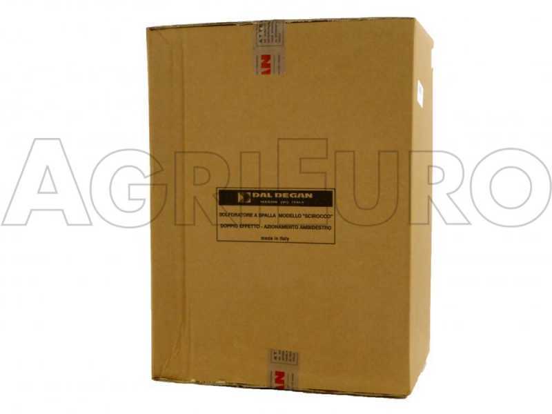 Dal Degan DK 200 - R&uuml;ckenspr&uuml;hger&auml;t mit Benzinmotor - Boosterpumpe - 80 ccm