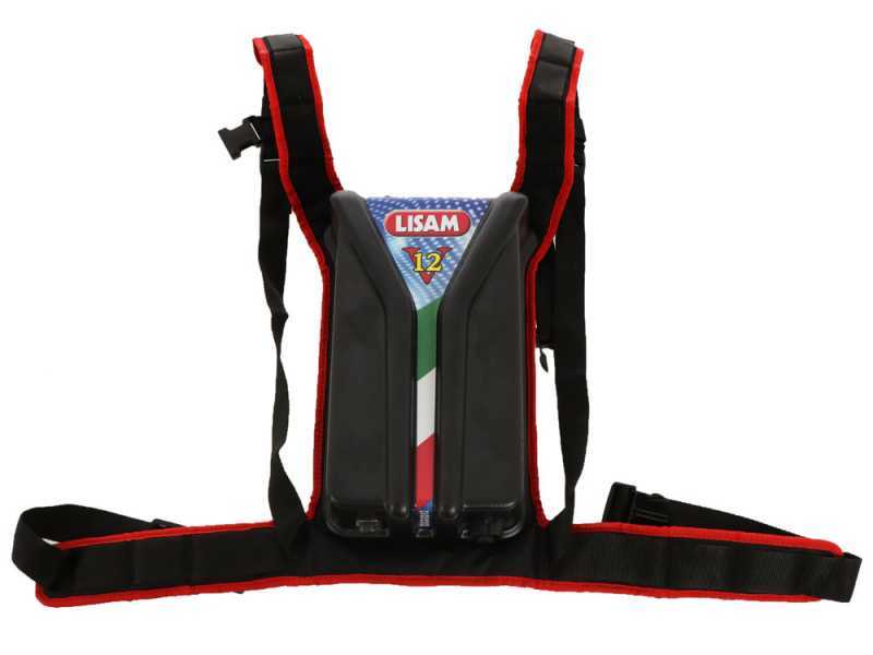 Lisam Swing - Elektrischer Olivenr&uuml;ttler mit Batterie - Teleskopschaft - Batterie 12V 56Ah