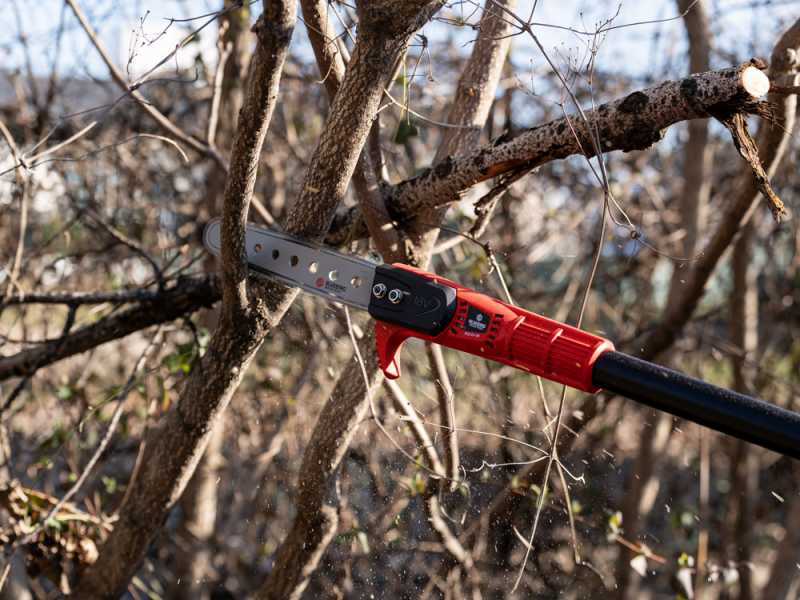 Blue Bird PCS 23-08 NIMBLER - Akku-Astschere auf Teleskopschaft -  18V 4Ah