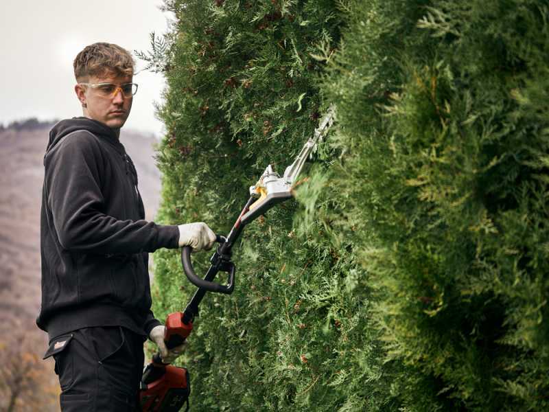 Blue Bird PHT 23-54 - Akku-Heckenschere auf Verl&auml;ngerungsstange - 50,4V / 5Ah