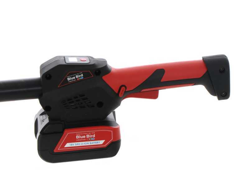 Blue Bird PCS 22-10A OIL PUMP - Akku-Astschere auf Teleskopschaft - 21V 5Ah