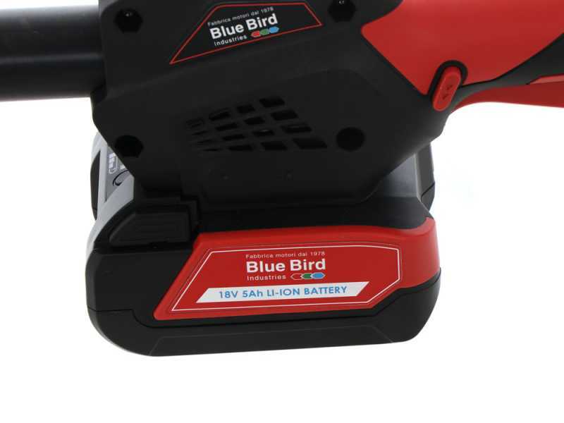 Blue Bird PCS 22-10A OIL PUMP - Akku-Astschere auf Teleskopschaft - 21V 5Ah