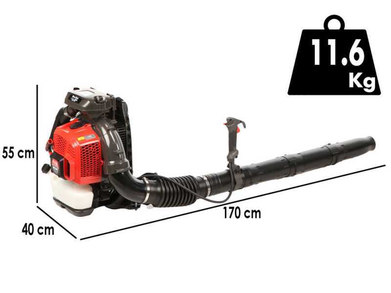 Blue Bird BBL 801 R&uuml;ckentragbarer Laubbl&auml;ser - 2-Takt-Motor