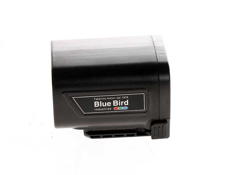 Blue Bird HPS 22-160 - Elektrische Astschere auf 160 cm Verl&auml;ngerungsstange - 21.6V 2.5Ah