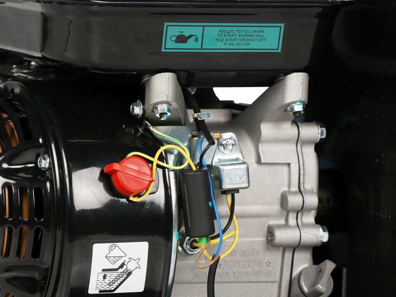 BlackStone DSP 70 J - H&auml;cksler mit Verbrennungsmotor - 212-cm&sup3;-Benzinmotor