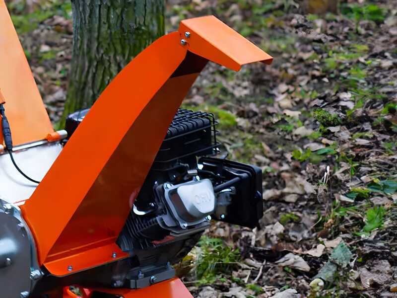 Forest Master FM14DDES - Benzin-H&auml;cksler - LCT Benzinmotor mit 14 PS