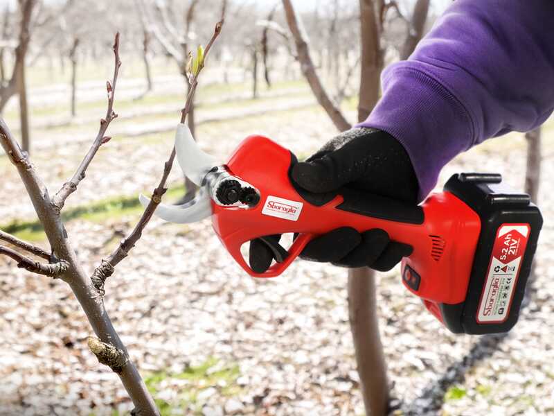 Sbaraglia Tecno Smart 37 - Akku-Baumschere -2x 21V/5.2Ah