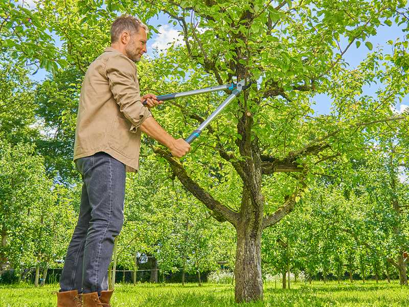 Gardena EasyCut L - Bypass-Astschere - L&auml;nge 67 cm