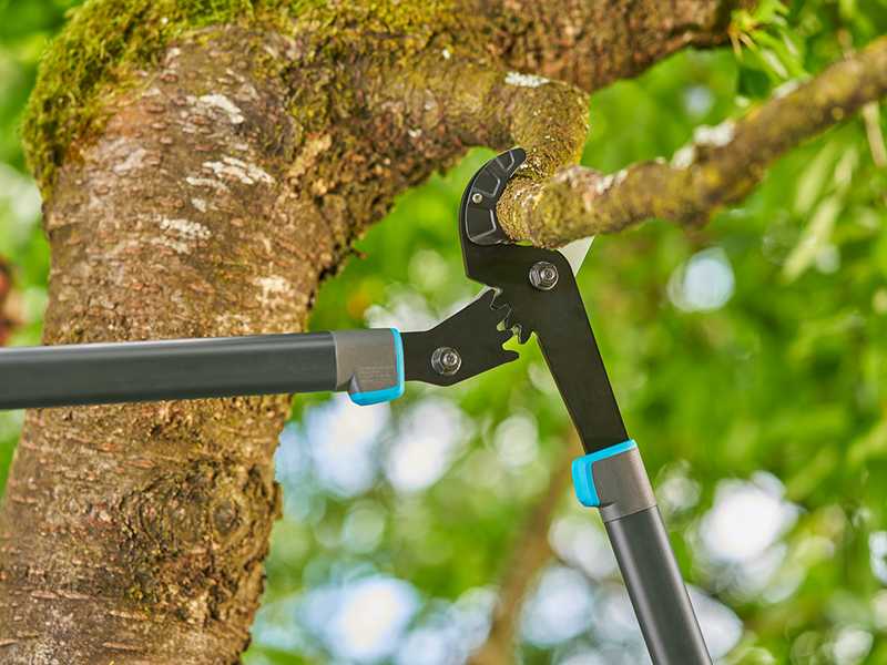 Gardena EnergyCut Pro L - Amboss-Astschere - L&auml;nge 75 cm