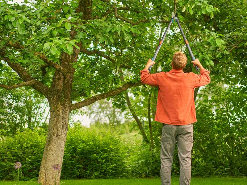 Gardena TeleCut Pro L - Teleskopischer Bypass-Astschere - L&auml;nge 65/90 cm