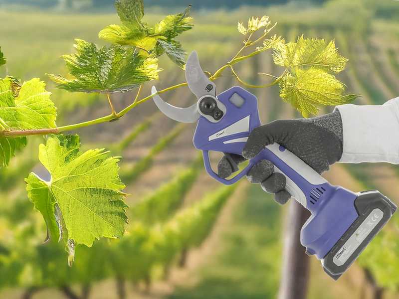 BullMach DIVIANE 40 Akku-Baumschere - 2x21V 2Ah