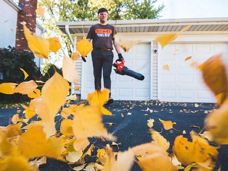 Echo DPB 2500 - Akku-Laubbl&auml;ser - 56V - 5Ah