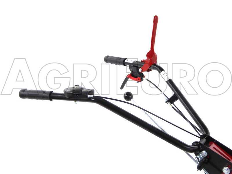 Eurosystems P55 - Benzin-Hochgrasm&auml;her - Sichelm&auml;her PRO - Loncin 196 ccm