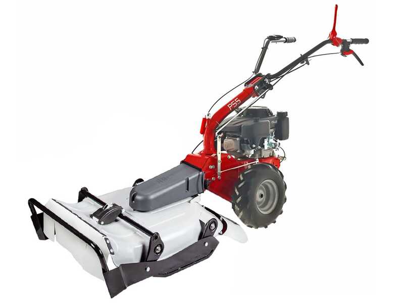 Eurosystems P55 - Benzin-Hochgrasm&auml;her - Sichelm&auml;her PRO - Loncin 196 ccm