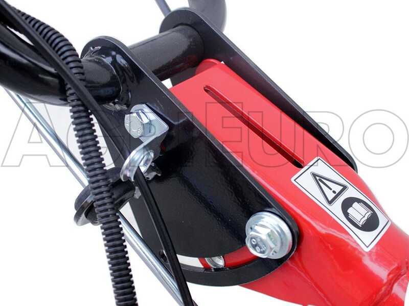 Eurosystems P55 - Benzin-Hochgrasm&auml;her - Sichelm&auml;her PRO - Loncin 196 ccm