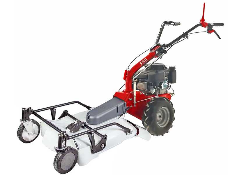 Eurosystems P55 - Benzin-Hochgrasm&auml;her - Sichelm&auml;her PRO V2 - Loncin 196 ccm