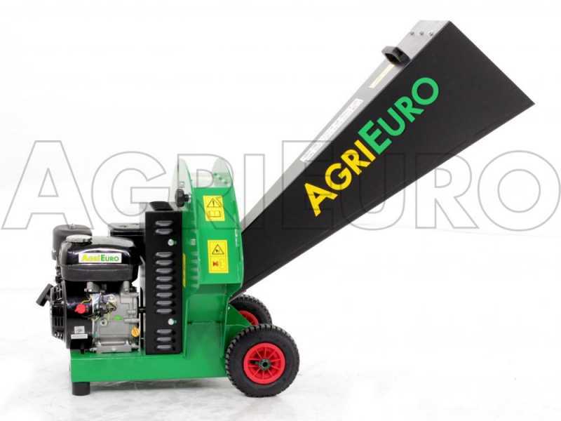 Benzin-H&auml;cksler AgriEuro Premium Line - mit 6 PS Benzinmotor