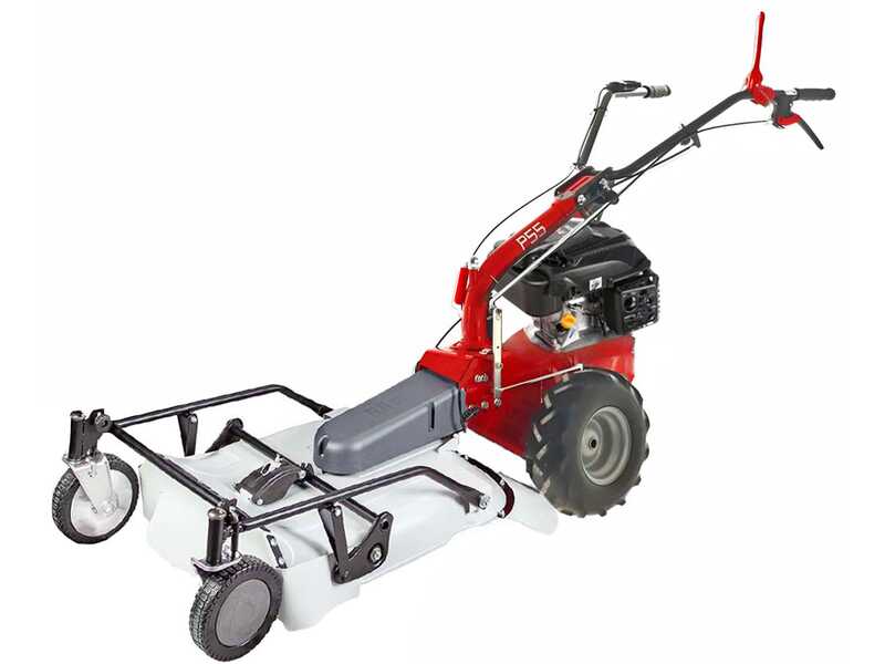 Eurosystems P55 &ndash; Benzin-Schlegelmulcher - Wiesenmulcher PRO V2 &ndash; RV200