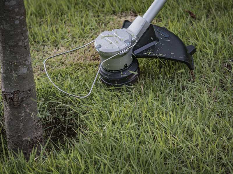 Bosch Professional GRT 18V-33 &ndash; Akku-Rasentrimmer &ndash; OHNE AKKU UND LADEGER&Auml;T