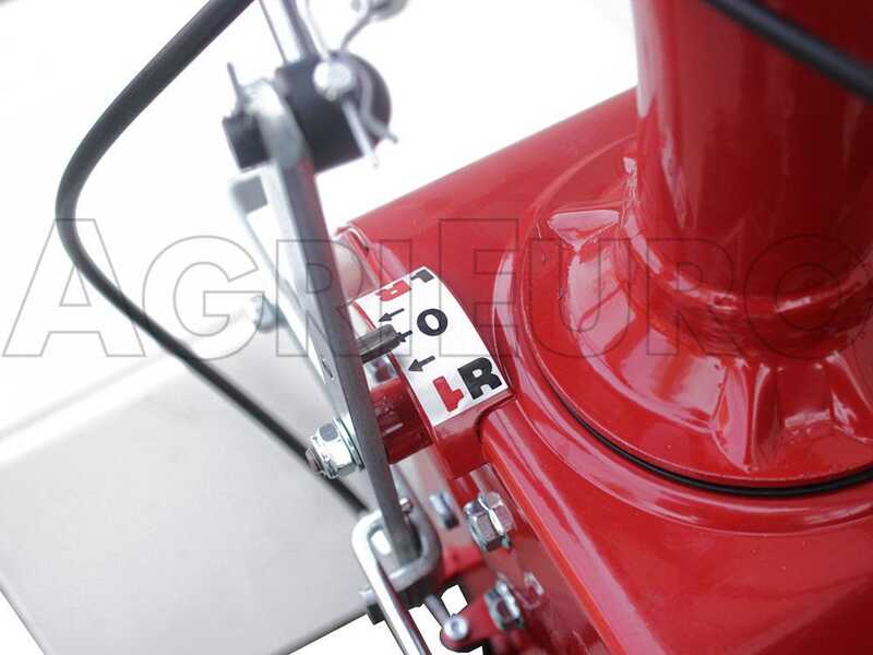 Eurosystems P55 EVO - Benzin-Schlegelmulcher - Wiesenmulcher PRO V2 - B&amp;S 675 iSi