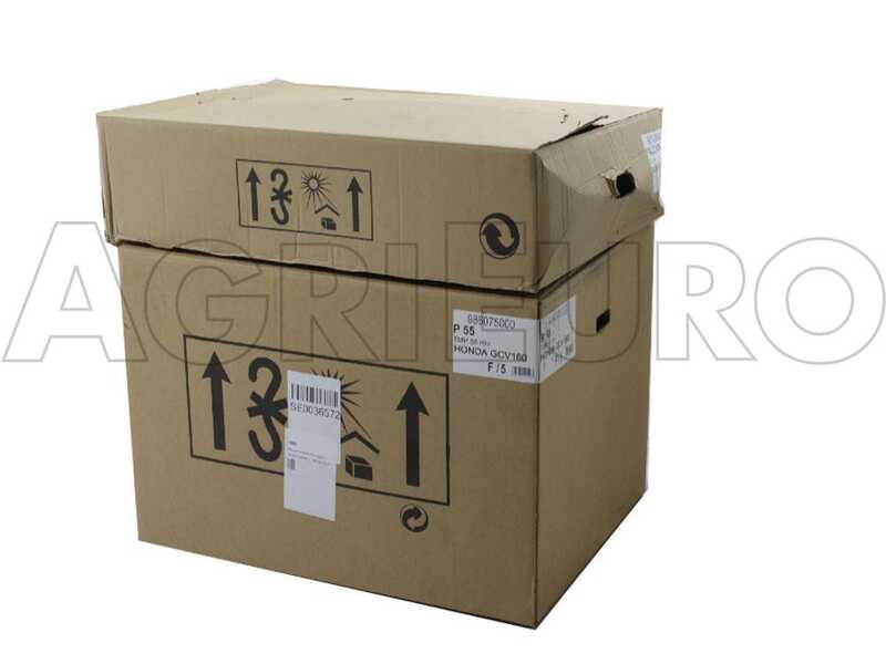 Eurosystems P55 EVO - Benzin-Schlegelmulcher - Wiesenmulcher PRO V2 - B&amp;S 675 iSi