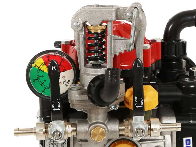 Annovi Reverberi CAR 130/P + AR 30 EM - Wagen mit Spr&uuml;hbeh&auml;lter und Elektropumpe f&uuml;r die Bew&auml;sserung.