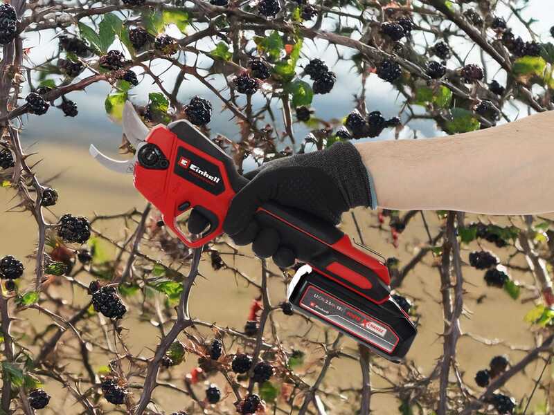 Einhell GP-LS 18/28 Li T BL-Solo Einhell Akku-Astschere auf Schaft - SOLO OHNE AKKU UND LADEGER&Auml;T