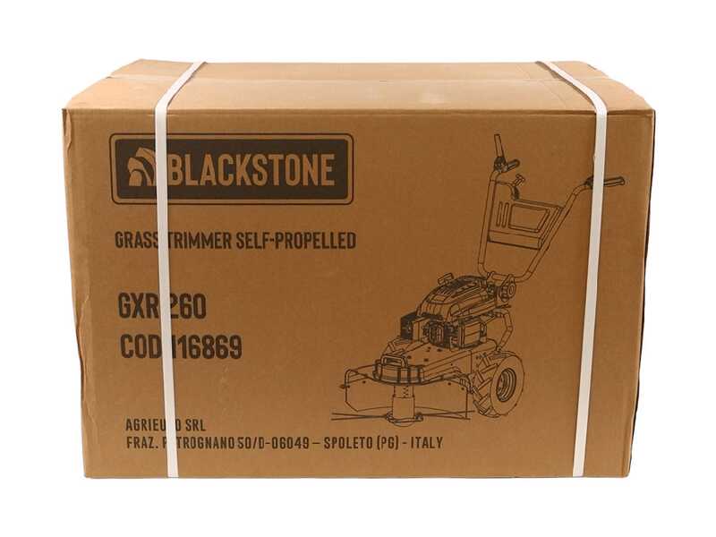 BlackStone GXR 260 - Benzin-Fadenm&auml;her auf R&auml;dern 4-Takt-Motor