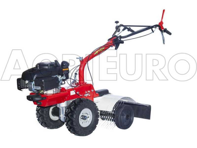 Federrechen f&uuml;r den Einachsschlepper EuroSystems P70