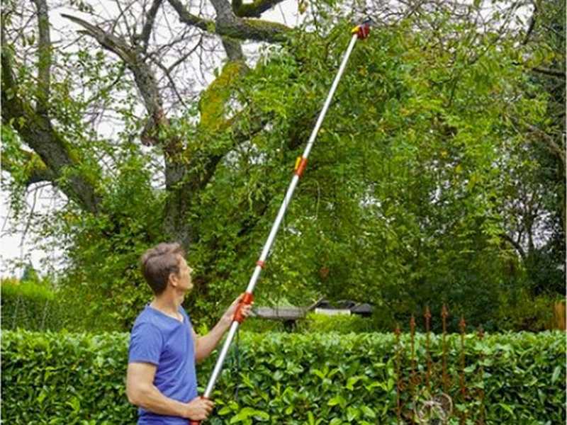 WOLF Garten RR 400 T - Professionelle Teleskop-Astschere &ndash; Schaft 220/400 cm - &Oslash; 32 mm