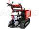 Raupendumper GINKO TR 660 ausziehbare Bordw&auml;nde, hydraulisches Kippen, Motor Honda GX 200