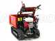 Raupendumper GINKO TR 660 ausziehbare Bordw&auml;nde, hydraulisches Kippen, Motor Honda GX 200