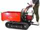 Raupendumper GINKO TR 660 ausziehbare Bordw&auml;nde, hydraulisches Kippen, Motor Honda GX 200